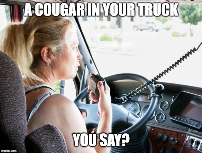 A COUGAR IN YOUR TRUCK YOU SAY? | made w/ Imgflip meme maker