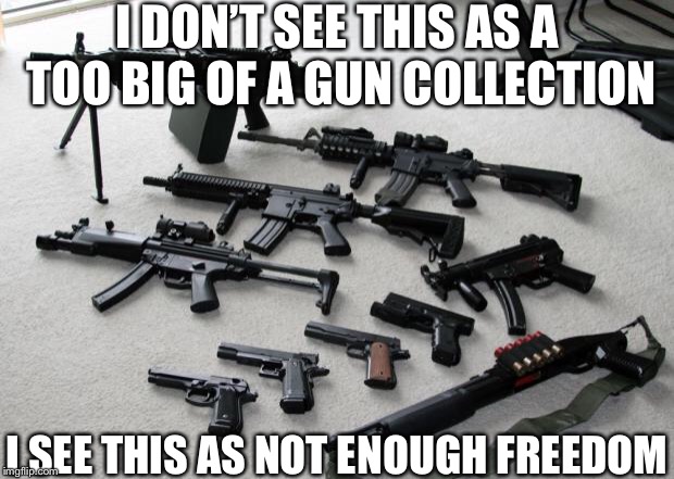 guns | I DON’T SEE THIS AS A TOO BIG OF A GUN COLLECTION; I SEE THIS AS NOT ENOUGH FREEDOM | image tagged in guns | made w/ Imgflip meme maker
