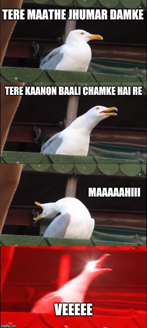 Inhaling Seagull Meme | TERE MAATHE JHUMAR DAMKE; TERE KAANON BAALI CHAMKE HAI RE; MAAAAAHIII; VEEEEE | image tagged in memes,inhaling seagull | made w/ Imgflip meme maker