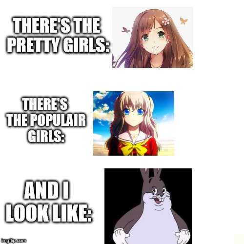 how i look | THERE'S THE PRETTY GIRLS:; THERE'S THE POPULAIR GIRLS:; AND I LOOK LIKE: | image tagged in big chungus,memes | made w/ Imgflip meme maker