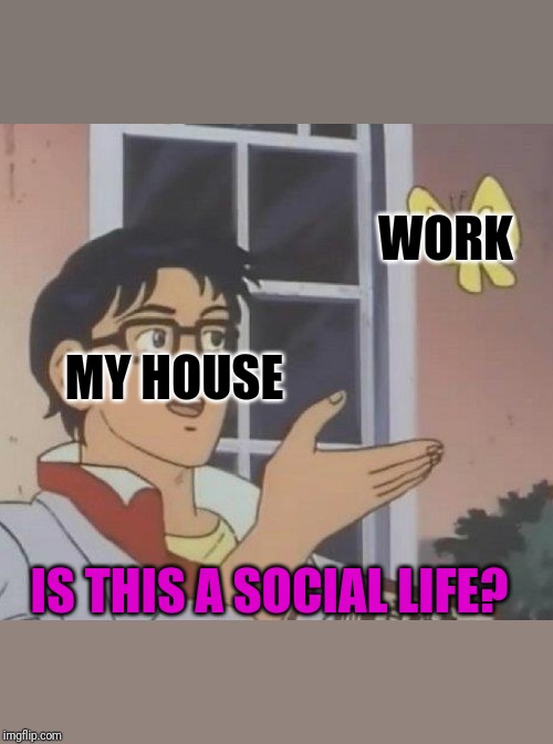 Is This A Pigeon Meme | WORK; MY HOUSE; IS THIS A SOCIAL LIFE? | image tagged in memes,is this a pigeon | made w/ Imgflip meme maker