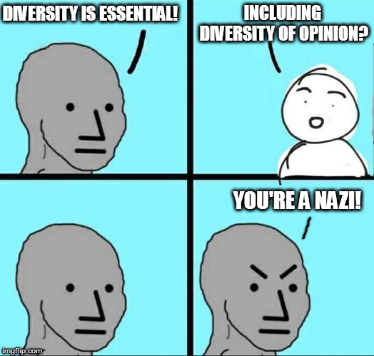 Agree with me or... | INCLUDING DIVERSITY OF OPINION? DIVERSITY IS ESSENTIAL! YOU'RE A NAZI! | image tagged in npc meme,politics | made w/ Imgflip meme maker