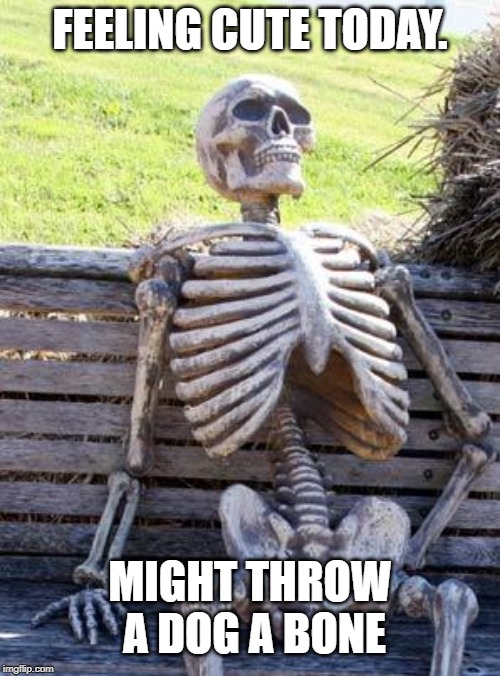 Waiting Skeleton Meme | FEELING CUTE TODAY. MIGHT THROW A DOG A BONE | image tagged in memes,waiting skeleton | made w/ Imgflip meme maker