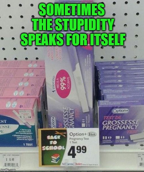 Stupid Signs Week (April 17 - 23) A LordCheesus and DaBoilsMeAvery event |  SOMETIMES THE STUPIDITY SPEAKS FOR ITSELF | image tagged in back to school,memes,stupid signs week,funny,pregnancy test,stupid signs | made w/ Imgflip meme maker