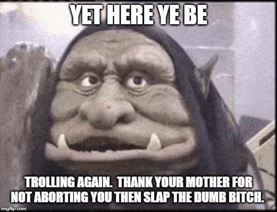 YET HERE YE BE TROLLING AGAIN.  THANK YOUR MOTHER FOR NOT ABORTING YOU THEN SLAP THE DUMB B**CH. | made w/ Imgflip meme maker