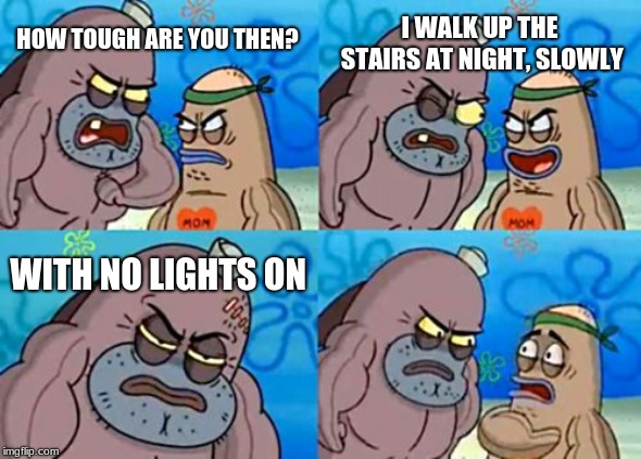 How Tough Are You | I WALK UP THE STAIRS AT NIGHT, SLOWLY; HOW TOUGH ARE YOU THEN? WITH NO LIGHTS ON | image tagged in memes,how tough are you | made w/ Imgflip meme maker