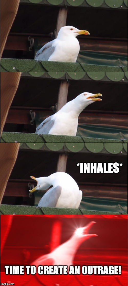 Inhaling Seagull Meme | *INHALES* TIME TO CREATE AN OUTRAGE! | image tagged in memes,inhaling seagull | made w/ Imgflip meme maker