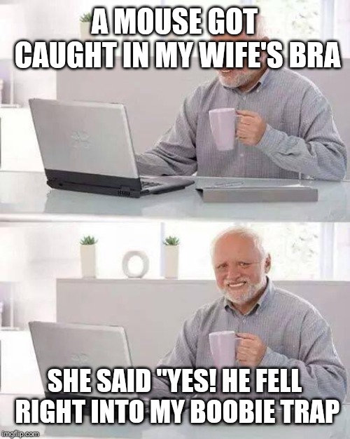 Hide the Pain Harold Meme | A MOUSE GOT CAUGHT IN MY WIFE'S BRA; SHE SAID "YES! HE FELL RIGHT INTO MY BOOBIE TRAP | image tagged in memes,hide the pain harold | made w/ Imgflip meme maker