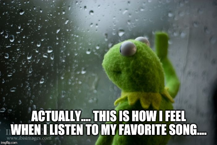 kermit window | ACTUALLY.... THIS IS HOW I FEEL WHEN I LISTEN TO MY FAVORITE SONG.... | image tagged in kermit window | made w/ Imgflip meme maker