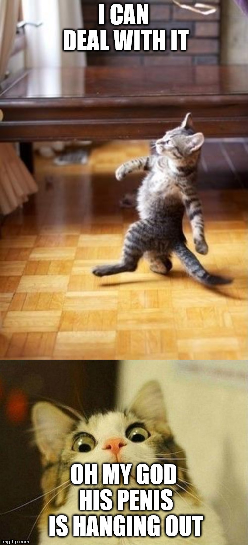 I CAN DEAL WITH IT OH MY GOD HIS P**IS IS HANGING OUT | image tagged in memes,cool cat stroll,scared cat | made w/ Imgflip meme maker