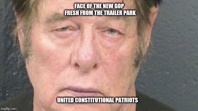 FACE OF THE NEW GOP 
FRESH FROM THE TRAILER PARK; UNITED CONSTITUTIONAL PATRIOTS | image tagged in gop | made w/ Imgflip meme maker