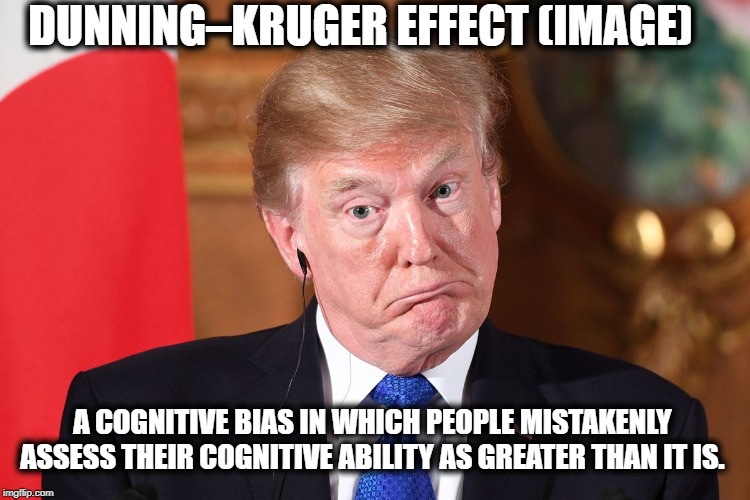 Textbook example | DUNNING–KRUGER EFFECT (IMAGE); A COGNITIVE BIAS IN WHICH PEOPLE MISTAKENLY ASSESS THEIR COGNITIVE ABILITY AS GREATER THAN IT IS. | image tagged in memes,impeach trump,maga,politics,idiot | made w/ Imgflip meme maker
