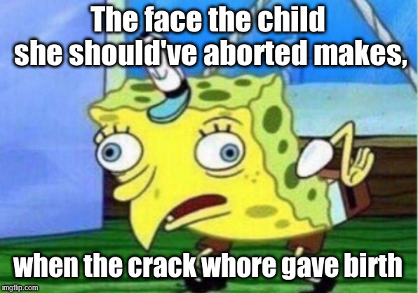 Mocking Spongebob Meme | The face the child she should've aborted makes, when the crack w**re gave birth | image tagged in memes,mocking spongebob | made w/ Imgflip meme maker