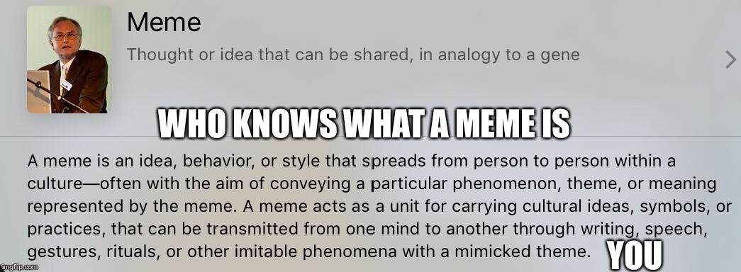 Meme | WHO KNOWS WHAT A MEME IS; YOU | image tagged in memes | made w/ Imgflip meme maker