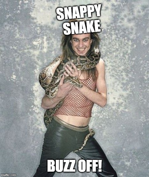 Fabulous Frank And His Snake |  SNAPPY SNAKE; BUZZ OFF! | image tagged in memes,fabulous frank and his snake | made w/ Imgflip meme maker