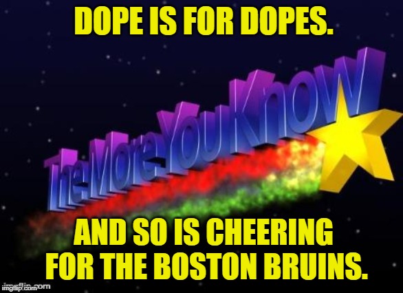 the more you know | DOPE IS FOR DOPES. AND SO IS CHEERING FOR THE BOSTON BRUINS. | image tagged in the more you know | made w/ Imgflip meme maker