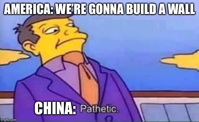skinner pathetic | AMERICA: WE’RE GONNA BUILD A WALL; CHINA: | image tagged in skinner pathetic | made w/ Imgflip meme maker
