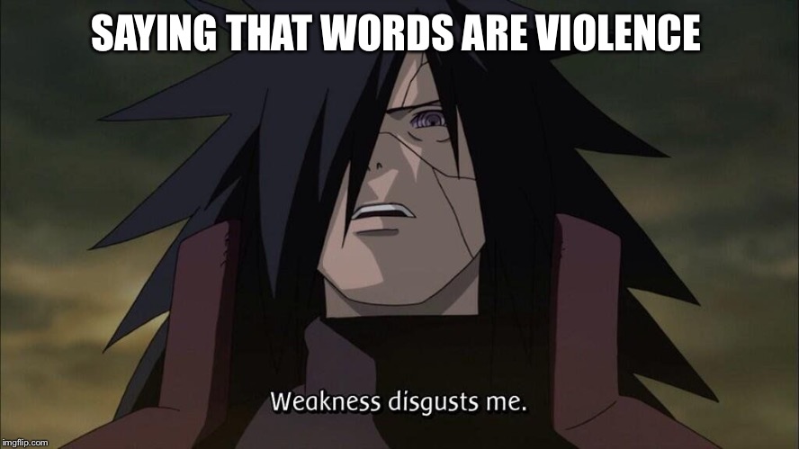 Weakness disgusts me | SAYING THAT WORDS ARE VIOLENCE | image tagged in weakness disgusts me | made w/ Imgflip meme maker