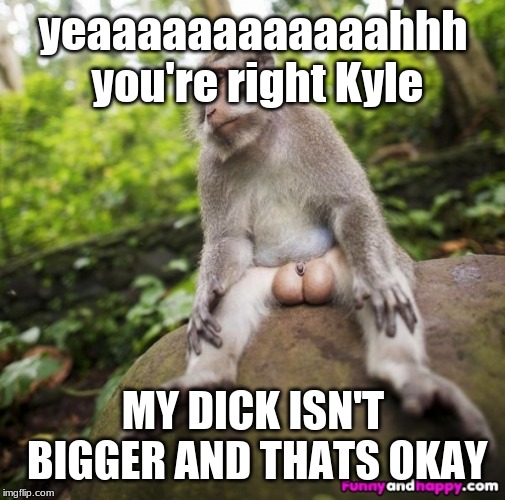 Monkey balls | yeaaaaaaaaaaaahhh you're right Kyle; MY DICK ISN'T BIGGER AND THATS OKAY | image tagged in monkey balls | made w/ Imgflip meme maker