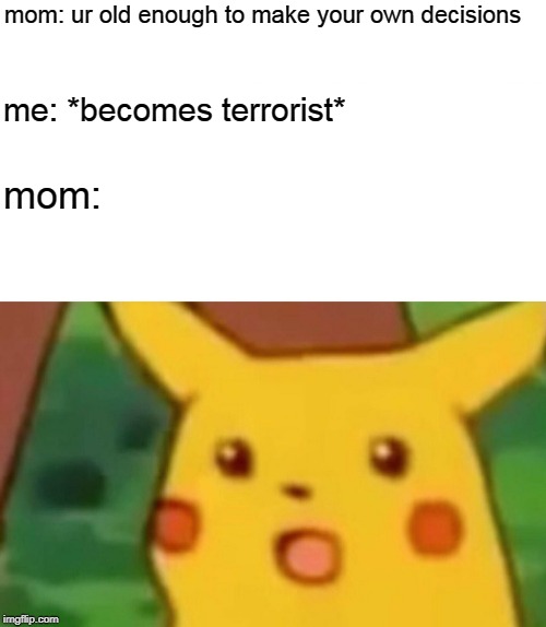 Surprised Pikachu Meme | mom: ur old enough to make your own decisions; me: *becomes terrorist*; mom: | image tagged in memes,surprised pikachu | made w/ Imgflip meme maker
