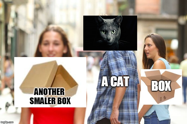 Distracted Boyfriend Meme | A CAT; BOX; ANOTHER SMALER BOX | image tagged in memes,distracted boyfriend | made w/ Imgflip meme maker