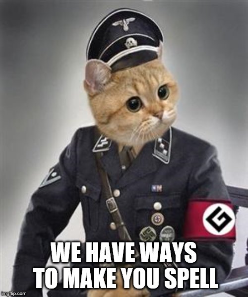 Grammar Nazi Cat | WE HAVE WAYS TO MAKE YOU SPELL | image tagged in grammar nazi cat | made w/ Imgflip meme maker