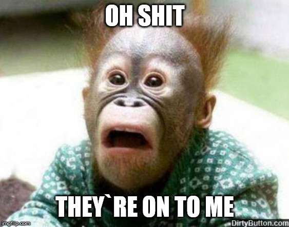 OH SHIT MONKEY | OH SHIT THEY`RE ON TO ME | image tagged in oh shit monkey | made w/ Imgflip meme maker