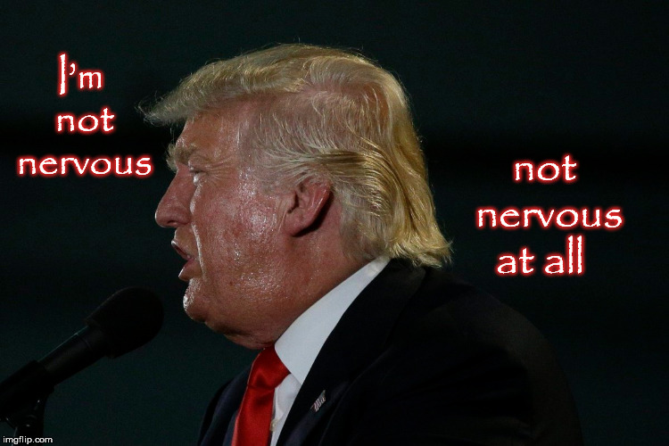 not nervous at all; I’m not nervous | image tagged in impeach trump,mega,donald trump,trump impeachment,potus | made w/ Imgflip meme maker