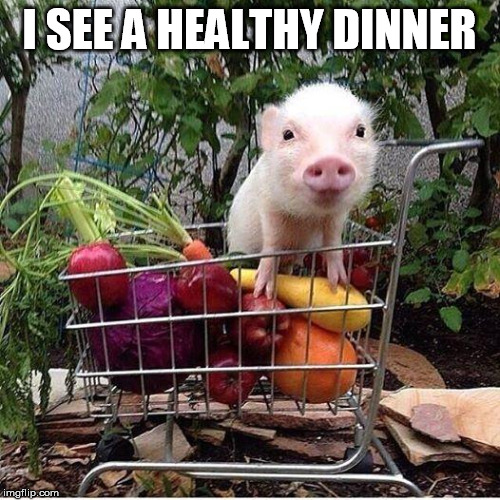 Bacon on veggies is healthy | I SEE A HEALTHY DINNER | image tagged in baby pig please do not eat bacon,vegetables | made w/ Imgflip meme maker