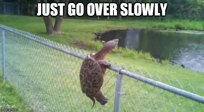 turtle fence escape | JUST GO OVER SLOWLY | image tagged in turtle fence escape | made w/ Imgflip meme maker