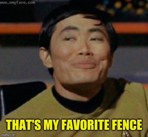 sulu | THAT'S MY FAVORITE FENCE | image tagged in sulu | made w/ Imgflip meme maker