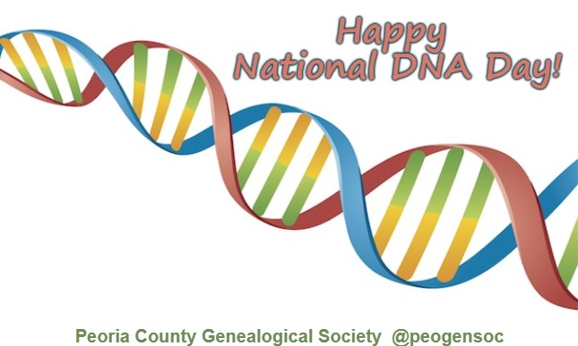 DNA Strand | Happy National DNA Day! Peoria County Genealogical Society  @peogensoc | image tagged in dna strand | made w/ Imgflip meme maker