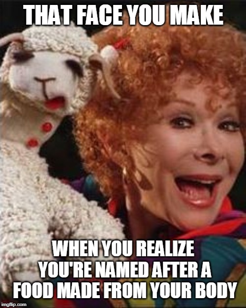 THAT FACE YOU MAKE; WHEN YOU REALIZE YOU'RE NAMED AFTER A FOOD MADE FROM YOUR BODY | image tagged in lamb | made w/ Imgflip meme maker