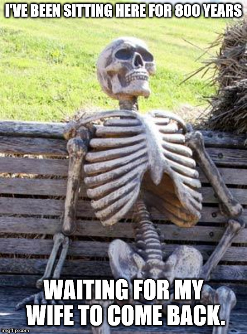 Waiting Skeleton Meme | I'VE BEEN SITTING HERE FOR 800 YEARS; WAITING FOR MY WIFE TO COME BACK. | image tagged in memes,waiting skeleton | made w/ Imgflip meme maker