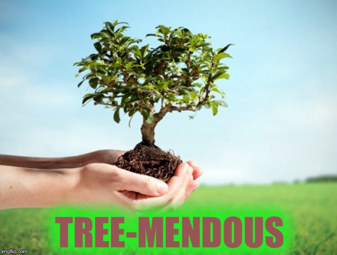 TREE-MENDOUS | made w/ Imgflip meme maker