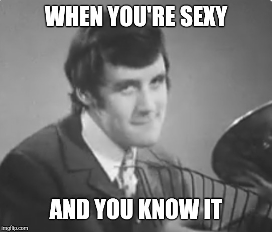 Michael Palin | WHEN YOU'RE SEXY; AND YOU KNOW IT | image tagged in monty python | made w/ Imgflip meme maker
