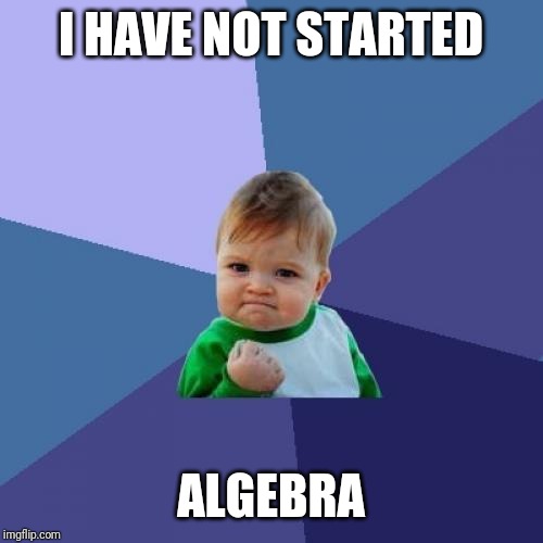 Success Kid Meme | I HAVE NOT STARTED; ALGEBRA | image tagged in memes,success kid | made w/ Imgflip meme maker