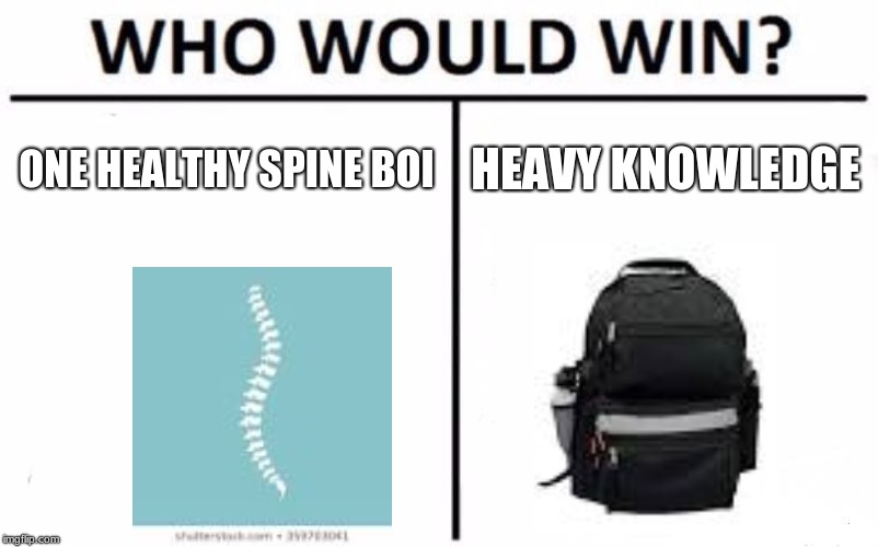Who Would Win? Meme | ONE HEALTHY SPINE BOI; HEAVY KNOWLEDGE | image tagged in memes,who would win | made w/ Imgflip meme maker