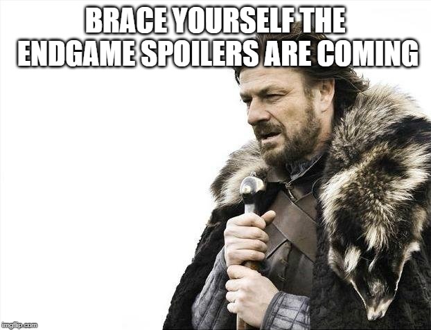Brace Yourselves X is Coming | BRACE YOURSELF THE ENDGAME SPOILERS ARE COMING | image tagged in memes,brace yourselves x is coming | made w/ Imgflip meme maker