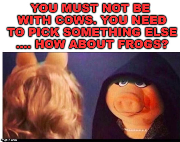 Bad choices | YOU MUST NOT BE WITH COWS. YOU NEED TO PICK SOMETHING ELSE .... HOW ABOUT FROGS? | image tagged in dark miss piggy | made w/ Imgflip meme maker