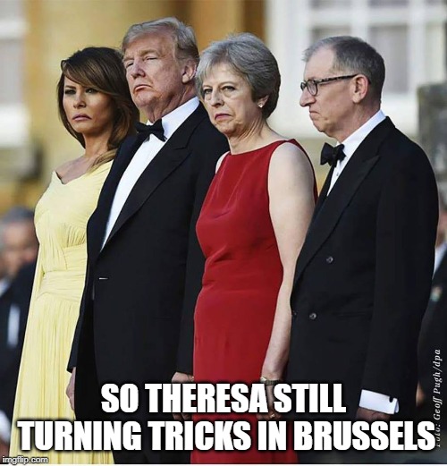 Donald Trump and Theresa May | SO THERESA STILL TURNING TRICKS IN BRUSSELS | image tagged in donald trump and theresa may | made w/ Imgflip meme maker