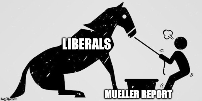 horse to water | LIBERALS; MUELLER REPORT | image tagged in mueller | made w/ Imgflip meme maker