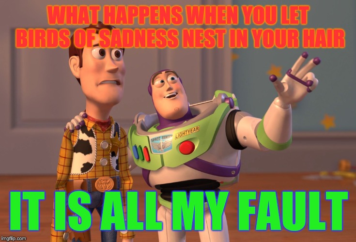 X, X Everywhere Meme | WHAT HAPPENS WHEN YOU LET BIRDS OF SADNESS NEST IN YOUR HAIR; IT IS ALL MY FAULT | image tagged in memes,x x everywhere | made w/ Imgflip meme maker