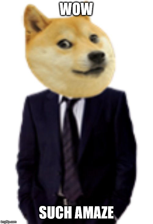 Doge President | WOW; SUCH AMAZE | image tagged in such politics,very suit,wow,amaze | made w/ Imgflip meme maker