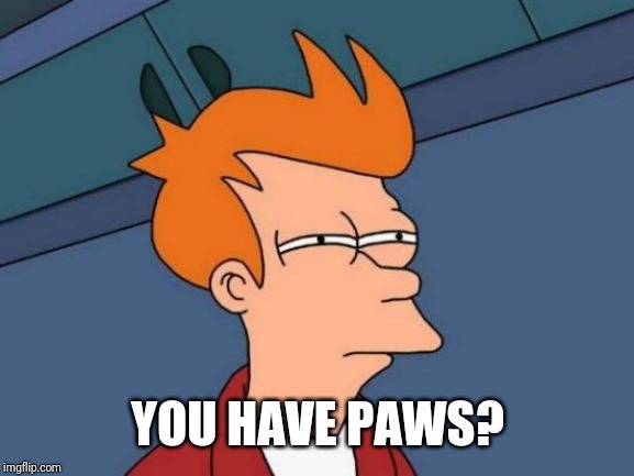 Futurama Fry Meme | YOU HAVE PAWS? | image tagged in memes,futurama fry | made w/ Imgflip meme maker
