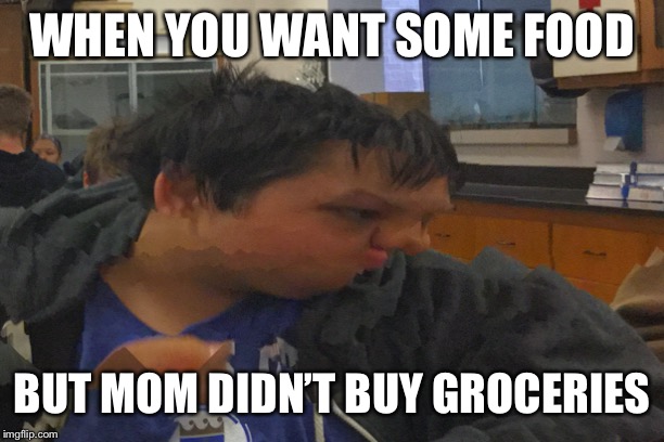 Food memes | WHEN YOU WANT SOME FOOD; BUT MOM DIDN’T BUY GROCERIES | image tagged in funny meme | made w/ Imgflip meme maker