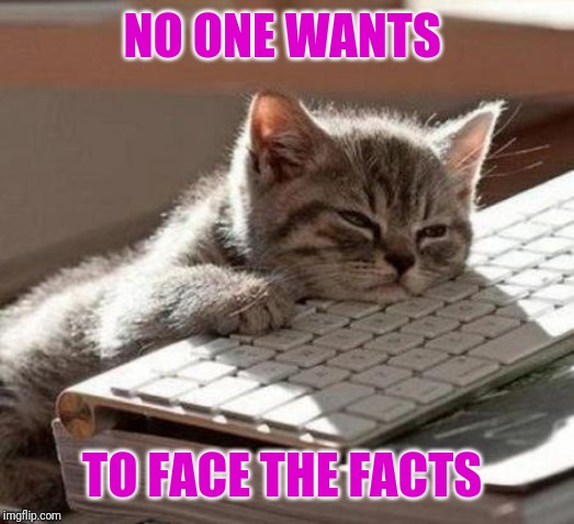 tired cat | NO ONE WANTS TO FACE THE FACTS | image tagged in tired cat | made w/ Imgflip meme maker