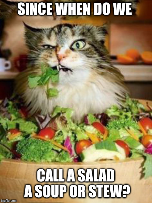 salad-cat | SINCE WHEN DO WE CALL A SALAD A SOUP OR STEW? | image tagged in salad-cat | made w/ Imgflip meme maker
