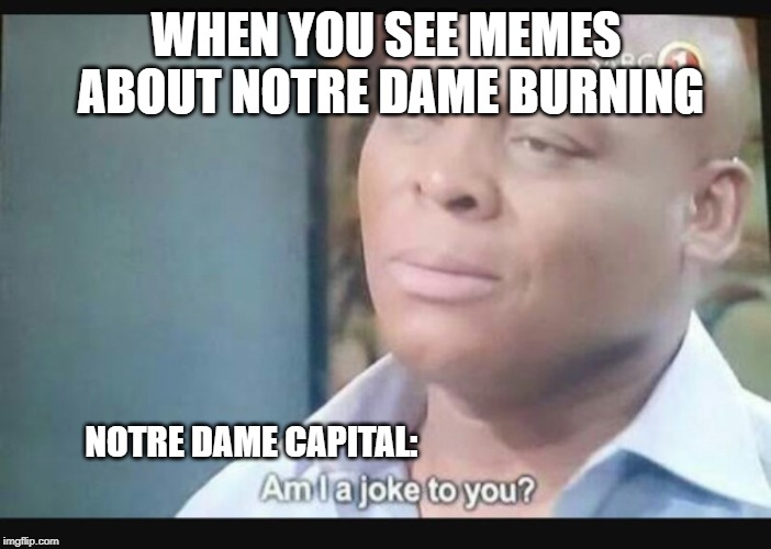 Why it seems so |  WHEN YOU SEE MEMES ABOUT NOTRE DAME BURNING; NOTRE DAME CAPITAL: | image tagged in am i a joke to you | made w/ Imgflip meme maker