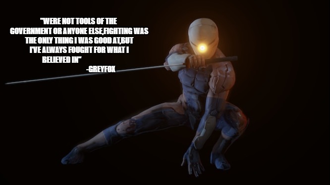 Wise words from GreyFox | "WERE NOT TOOLS OF THE GOVERNMENT OR ANYONE ELSE,FIGHTING WAS THE ONLY THING I WAS GOOD AT,BUT I'VE ALWAYS FOUGHT FOR WHAT I BELIEVED IN"
                                                         -GREYFOX | image tagged in mgs,greyfox,psx | made w/ Imgflip meme maker